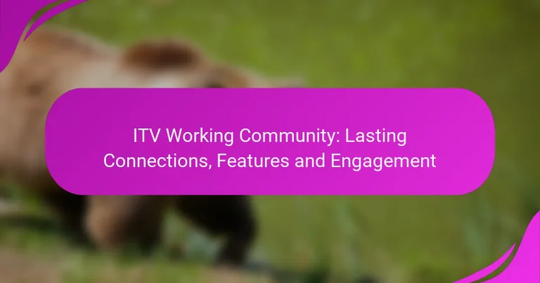 ITV Working Community: Lasting Connections, Features and Engagement