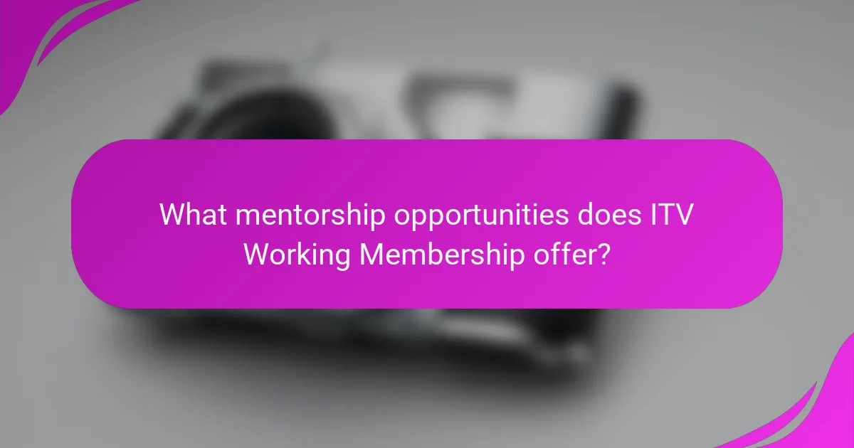 What mentorship opportunities does ITV Working Membership offer?