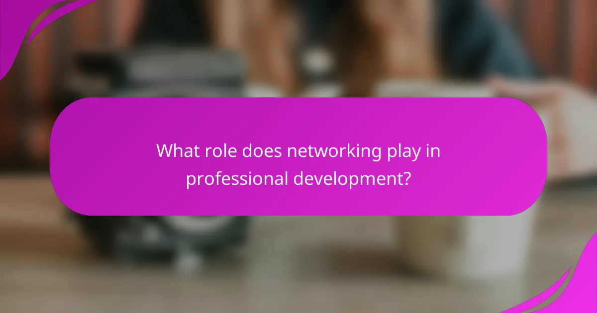 What role does networking play in professional development?