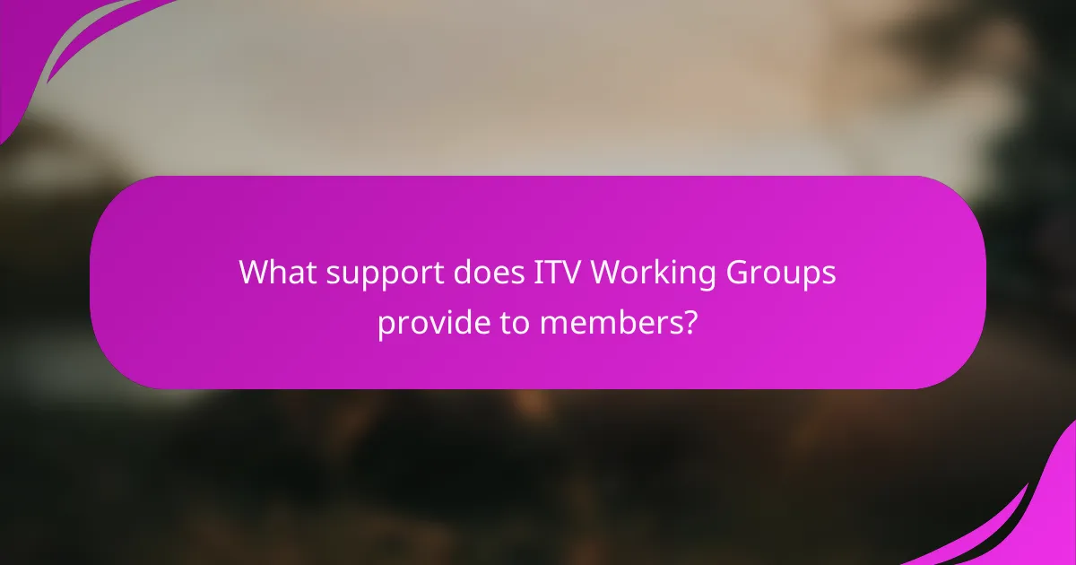 What support does ITV Working Groups provide to members?